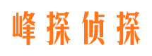 潢川市场调查